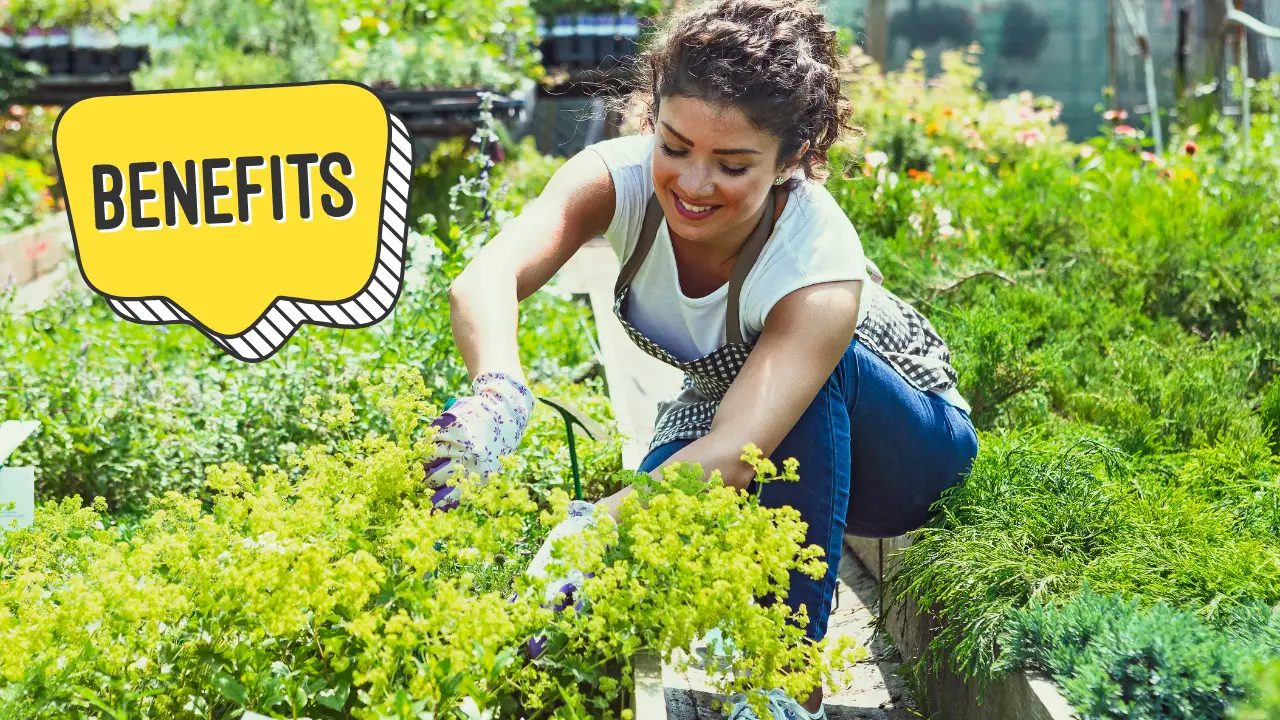 The Benefits of Gardening: How Growing Your Own Food Can Improve Your Health and Well-being