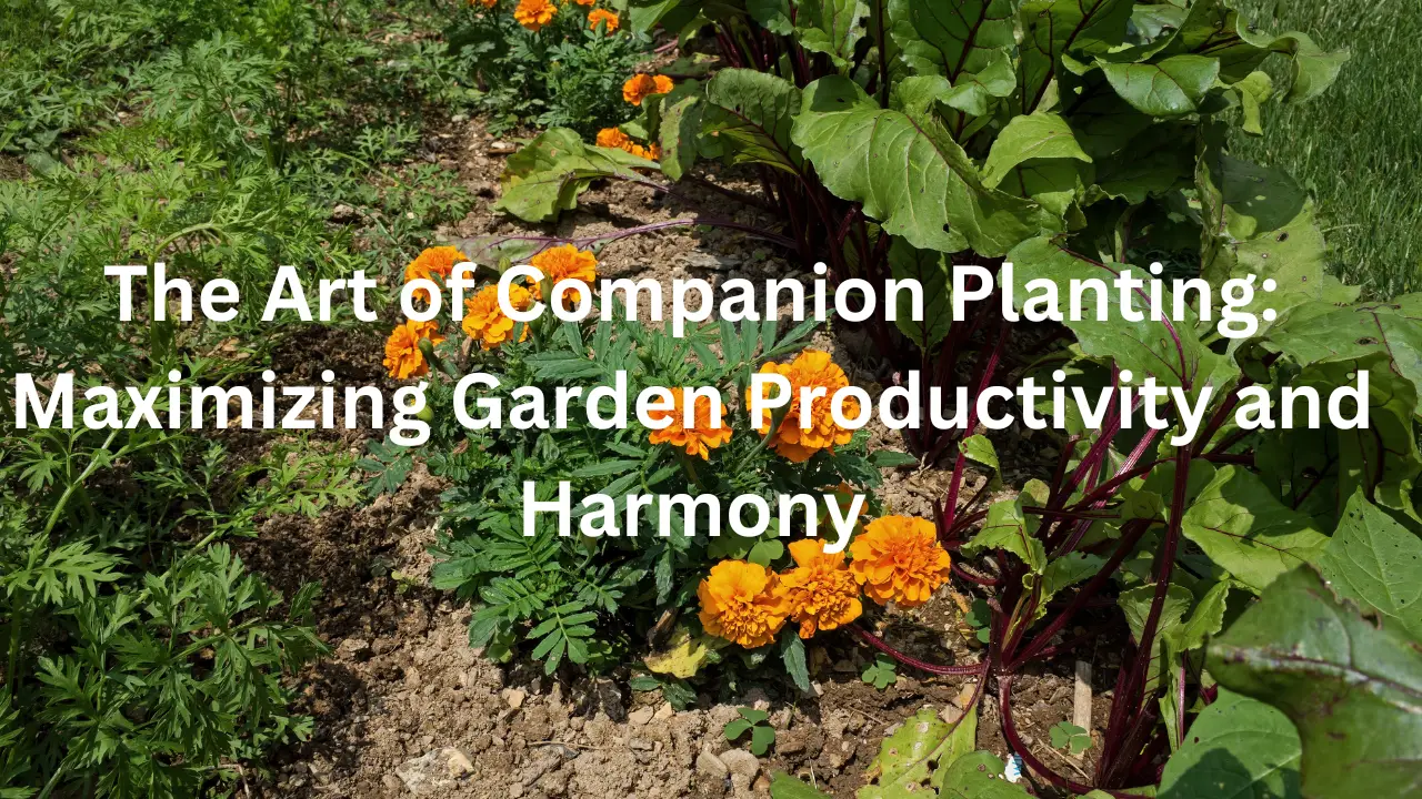 The Art of Companion Planting: Maximizing Garden Productivity and Harmony
